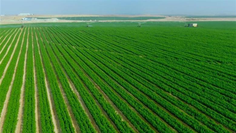 الخريطة الزراعية في مصر&nbsp;