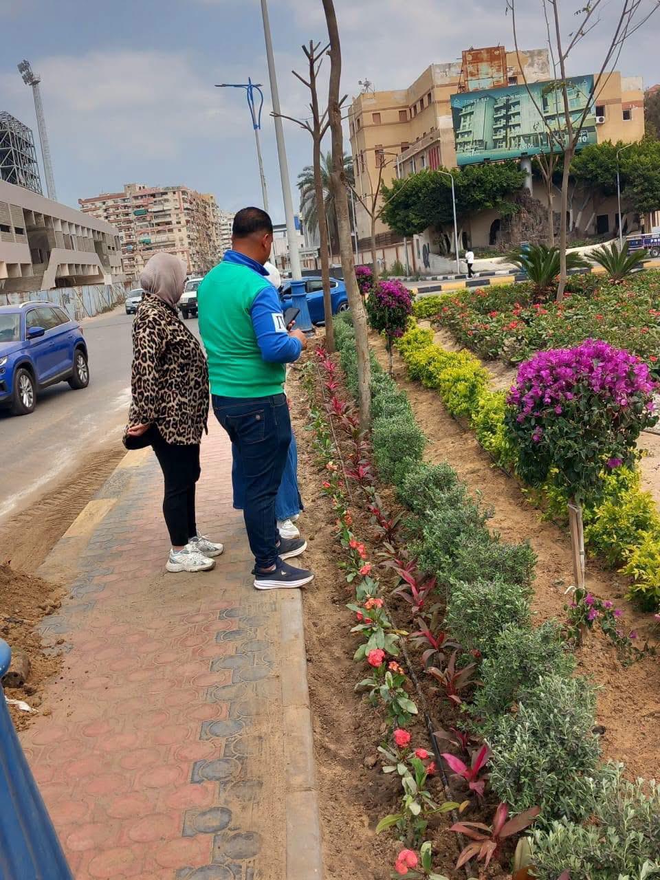أعمال التشجير&nbsp;