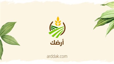 تباين أسعار الفاكهة بسوق العبور اليوم.. قفزة في العنب الأسود وتراجع المشمش والبرقوق