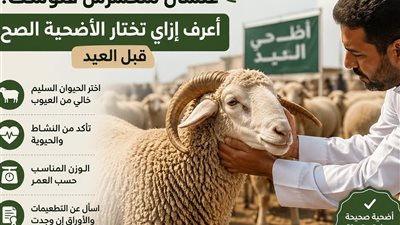 علشان متخسرش فلوسك.. أعرف إزاي تختار الأضحية الصح قبل العيد
