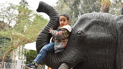 هل يتم افتتاح حديقة الحيوان قبل عيد الأضحى 2026؟