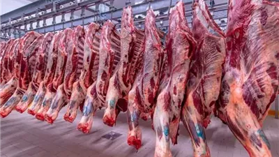 أسعار اللحوم اليوم الثلاء 28 أبريل 2026 في الأسواق