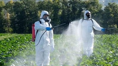 مبيدات طبيعية فعالة .. حلول آمنة لمكافحة الآفات وحماية النباتات