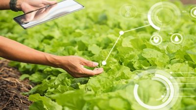 الذكاء الاصطناعي يدخل الحقل.. ثورة جديدة في تحديد مواعيد وكمية الري