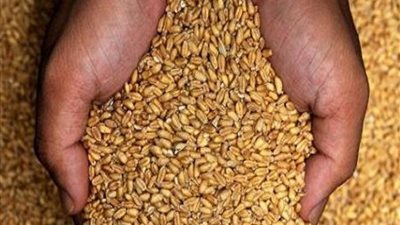 أسعار الحبوب والمنتجات الزراعية في السوق المحلي اليوم
