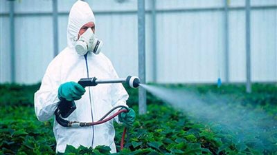 للمزارعين.. مكافحة العنكبوت الأحمر بخطة متكاملة ومبيدات فعالة