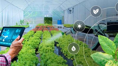 زراعة كفر الشيخ تدخل عصر الرقمنة.. افتتاح أول وحدة للذكاء الاصطناعي لتطوير المحاصيل ودعم الأمن الغذائي