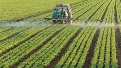 التسميد الورقي يؤدي للوقاية والنمو بشكل صحيح.. اعرف مميزاته والرش