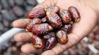 مصر تقود خارطة طريق «الذهب البني» عالمياً.. مشاركة رفيعة المستوى لغرفة الصناعات الغذائية في مؤتمر نخيل التمر 2026