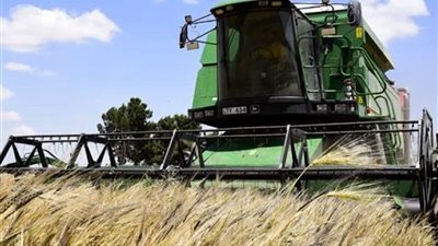 انطلاق موسم حصاد الشعير 2026.. نموذج مصري ناجح لربط البحث العلمي بالصناعة وتوطين الإنتاج