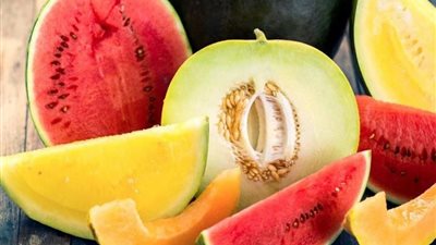 رئيس مركز المناخ: عندما يصبح الغذاء الصحي متهماً.. والترند بديلاً عن العلم