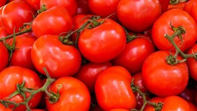 هل اللون الأبيض داخل الطماطم خطر على الصحة؟ خبراء يوضحون الحقيقة الكاملة