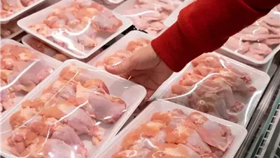 اختراق أسواق الخليج.. انطلاق أولى شحنات الدواجن المصرية المجمدة إلى قطر ومفاوضات للتوسع إقليمياً