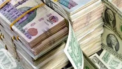 كيف تلتهم العوائد المتغيرة ثروات المودعين في صناديق السيولة؟