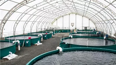 تحرك مصري لتعزيز الاستثمارات الزراعية والسمكية في جنوب السودان وفتح آفاق للتبادل التجاري