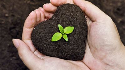 نقيب الفلاحين.. «الأسمدة الحيوية» ركيزة الدولة لخفض تكاليف الإنتاج الزراعي ومواجهة الأزمات العالمية