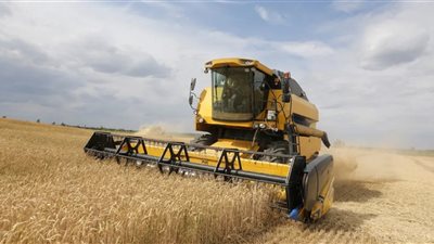 8 نصائح ذهبية لزيادة الإنتاج وتقليل الفاقد في موسم حصاد القمح