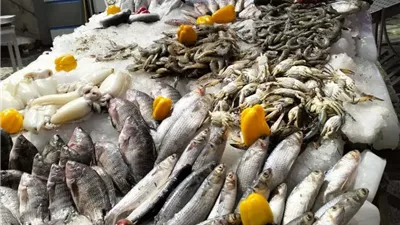 أسعار السمك اليوم لثلاثاء 5 مايو في الأسواق 