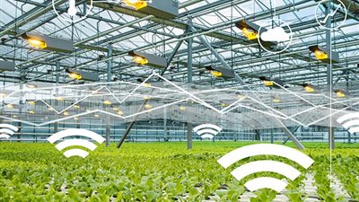 المزرعة بقت تفهمك.. تكنولوجيا ذكية تغير طريقة الزراعة في مصر