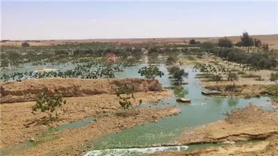 لتعويض الأهالي.. حصر الأراضي المتضررة من تسرب الصرف الصحي بمطروح