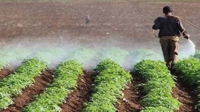 الحر بيشغل الآفات.. ليه الحشرات بتزيد في الصيف وإزاي تحمي محصولك 