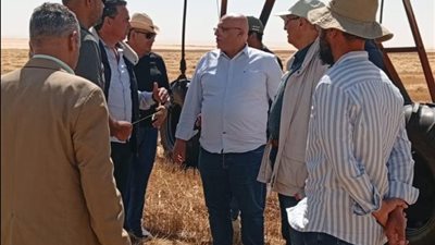 بتوجيهات من وزير الزراعة.. البحوث الزراعية يفتتح موسم حصاد المحاصيل الاستراتيجية بالفرافرة