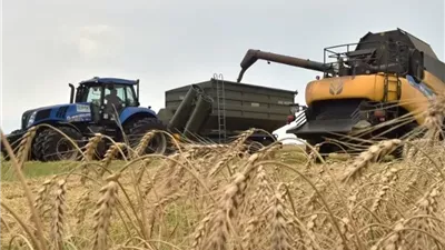 تضخم الغذاء العالمي يبلغ ذروته في عامين.. كيف أعادت أزمات الملاحة والمناخ رسم خريطة الأسعار؟