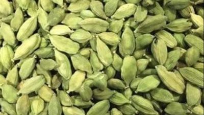 الحبهان في البلكونة مش رفاهية.. ازرعه في بيتك وابدأ مشروع الذهب الأخضر