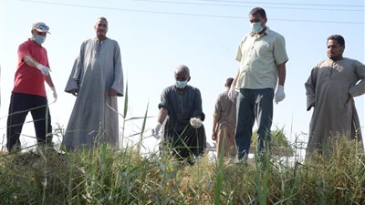 لحماية المحاصيل الصيفية.. زراعة الأقصر تطلق حملة كبرى لمكافحة القوارض بمناطق شرق وغرب النيل