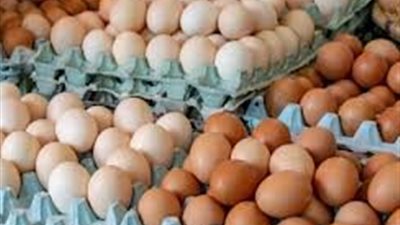 استقرار أسعار البيض اليوم السبت 2 مايو 2026.. واستثمارات القطاع الداجني تصل لـ 90 مليار جنيه