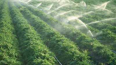 تحرك حكومي موسع لتعزيز التنمية الشاملة وتوطين المواطنين في سيناء