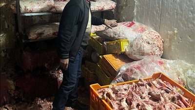 وزارة الزراعة تحكم قبضتها على الأسواق بضبط 190 طن لحوم مخالفة للاشتراطات الصحية