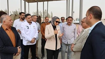 باستثمارات مشتركة.. الوادي الجديد تنشئ أول وحدة لإنتاج الوقود الحيوي «الوود بيليت» من مخلفات النخيل