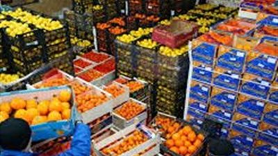 بصمة مصرية في 192 دولة.. الصادرات الغذائية تقفز لـ 237 ألف طن في أسبوع والسعودية الوجهة الأولى