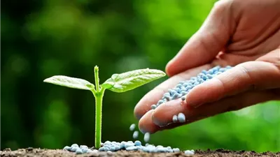 البنك الدولي: استقرار نسبي في أسعار الغذاء عالميًا مع قفزة حادة في تكلفة الأسمدة