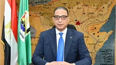 خلال يومين.. محافظة الجيزة تضبط 3 أطنان مقطعات دواجن غير صالحة و1057 بطاقة تموينية