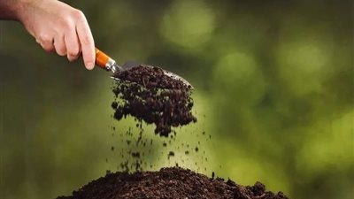 ليه السماد أحيانًا ما بيشتغلش؟.. المشكلة مش في الكمية لكن في التربة نفسها