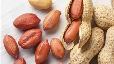 تحرك رسمي عاجل من «الزراعة» لبحث أسباب رفض شحنة فول سوداني ببلغاريا