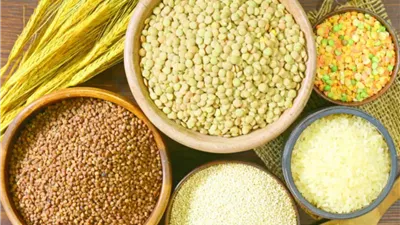 تباين أداء الحبوب في بورصة نيويورك.. القمح يستقر والذرة وفول الصويا يسجلان مكاسب ملحوظة