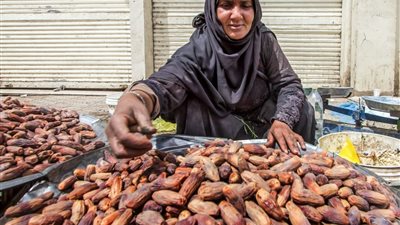 تمور «السكوتي» المصرية تغزو الأسواق الدولية.. 5 ركائز وضعتها على خارطة التصدير العالمي