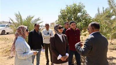 على مساحة 29 فدانًا.. محافظ الوادي الجديد تتفقد مشروع إنتاج زراعي وحيواني بمدينة الخارجة