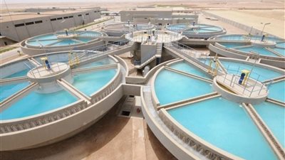 «البحث العلمي» تنظم ورشة عمل لتعزيز تحلية المياه الجوفية وتوطين تكنولوجيا الزراعة المستدامة