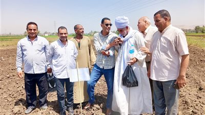 وكيل زراعة أسيوط لـ«الأرض».. طفرة في سعات التخزين وتوفير 40% من أسمدة الموسم الصيفي