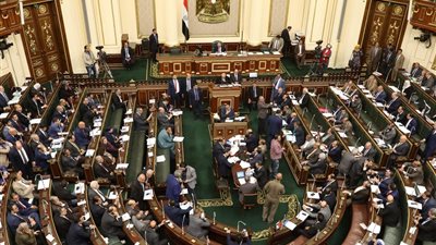 من العاصمة الإدارية.. «زراعة الغربية» تستعرض موازنة 2026/2027 أمام البرلمان لتطوير الإنتاجية