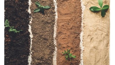 لون التربة بيكشف سر خصوبتها ويحدد نجاح محصولك.. اعرف أرضك صح قبل الزراعة