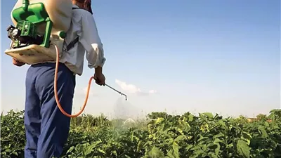  بعد المبيدات القوية.. الرش التأهيلي هو سر إنعاش النبات واستعادة النمو بسرعة