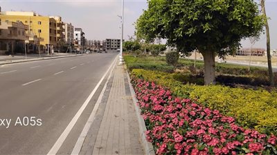 السيد أمين: خطة متكاملة للحفاظ على المسطحات الخضراء وتطويرها بشكل مستمر بمدينة بدر