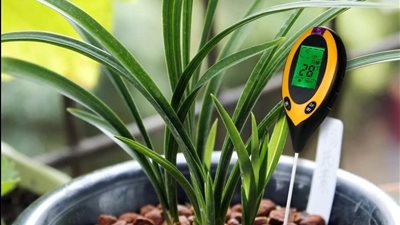 أجهزة قياس رطوبة التربة.. جهاز صغير ممكن يوفر نص استهلاك المياه في أرضك