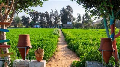 خطة حكومية لتحويل الريف المصري إلى مراكز إنتاج زراعي متكاملة.. تفاصيل