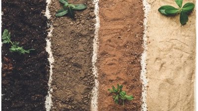 التربة الرملية والخصبة.. كيف يحولها المزارع إلى أرض منتجة بأسلوب التسميد الذكي؟